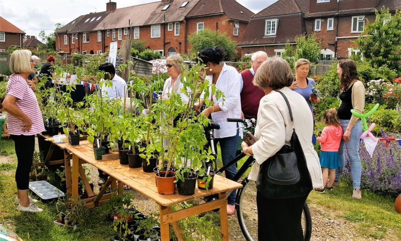 Roehampton Garden Society Allotments